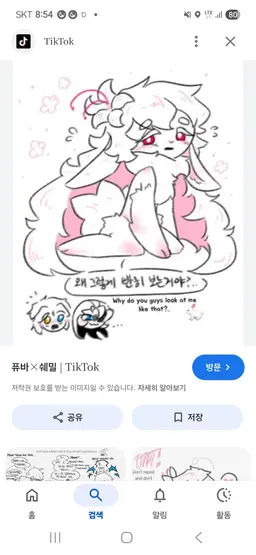 Profile image of 세인 트릴리