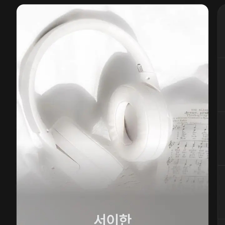 MeanRipe1403의 라더