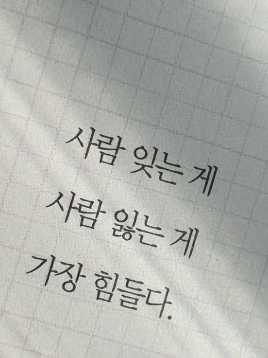 51921 대표 이미지