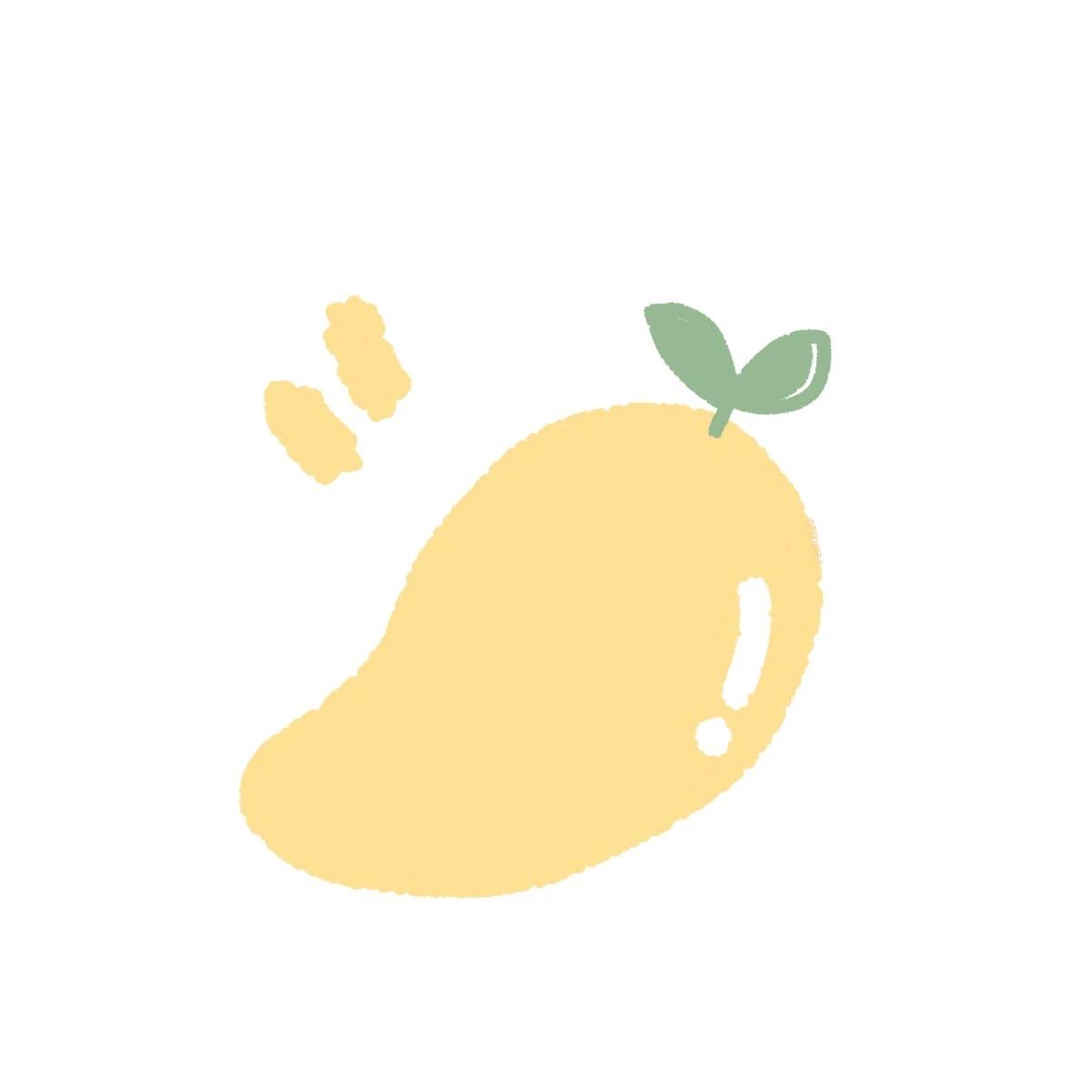 아이돌