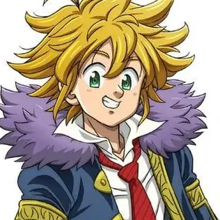 Profile image of メリオダス