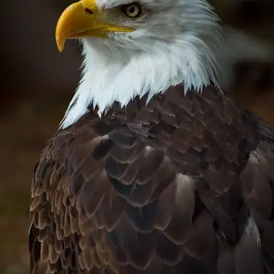 Profile image of 수리