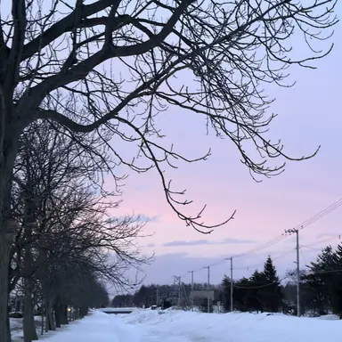 Profile image of 宮世 琉弥