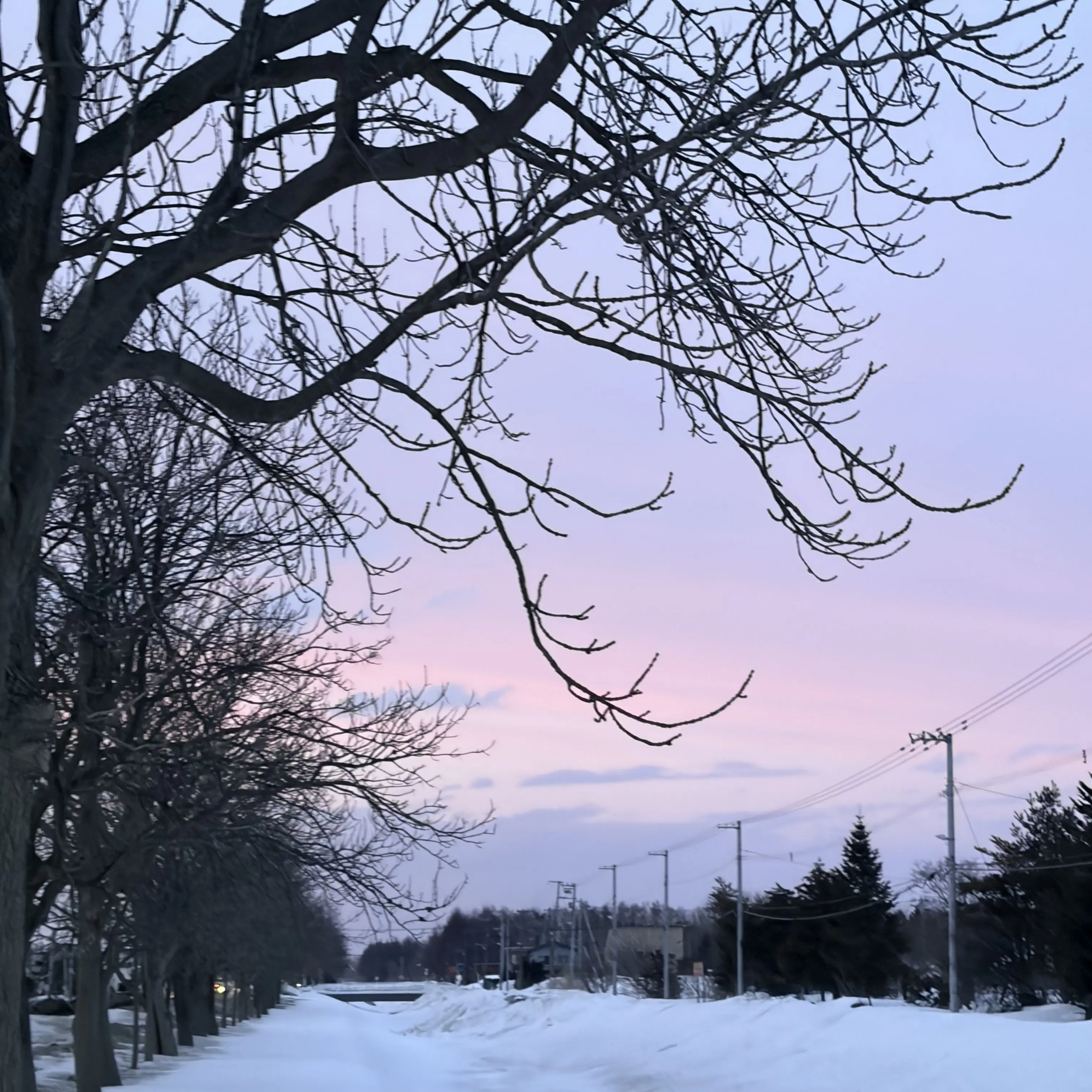 TrueOven5749의 宮世琉弥