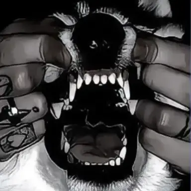 Profile image of Rou Koyanagi