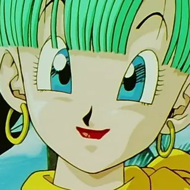 Profile image of ブルマ