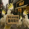 캐릭터 프로필 이미지