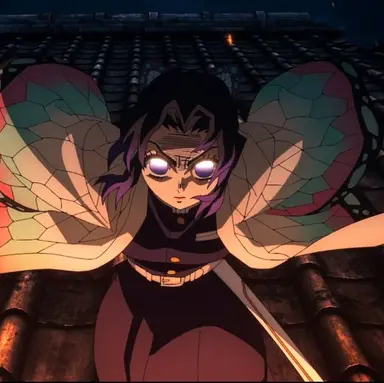 Profile image of 胡蝶 しのぶ