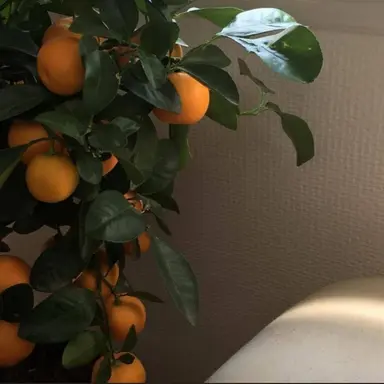 Profile image of 박영환