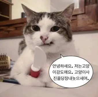 Profile image of 메모장