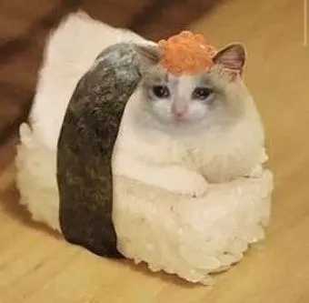 Profile image of 메모장