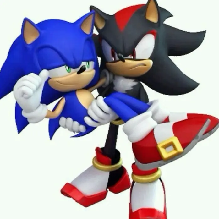 Aiueo_의 SONIC