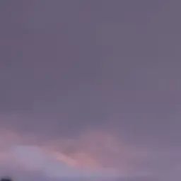 Profile image of 코니 스프링거