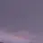 코니 스프링거
