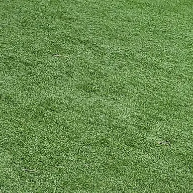 Profile image of 애니 레온하트