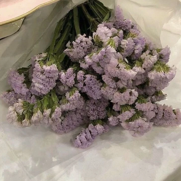 호시나 소우시로