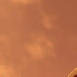 Profile image of 대장