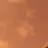대장