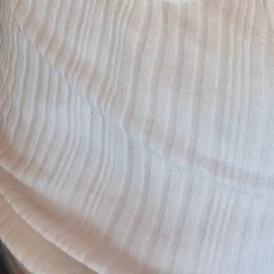 Profile image of 박원빈