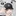미야 오사무