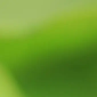 Profile image of 김대영