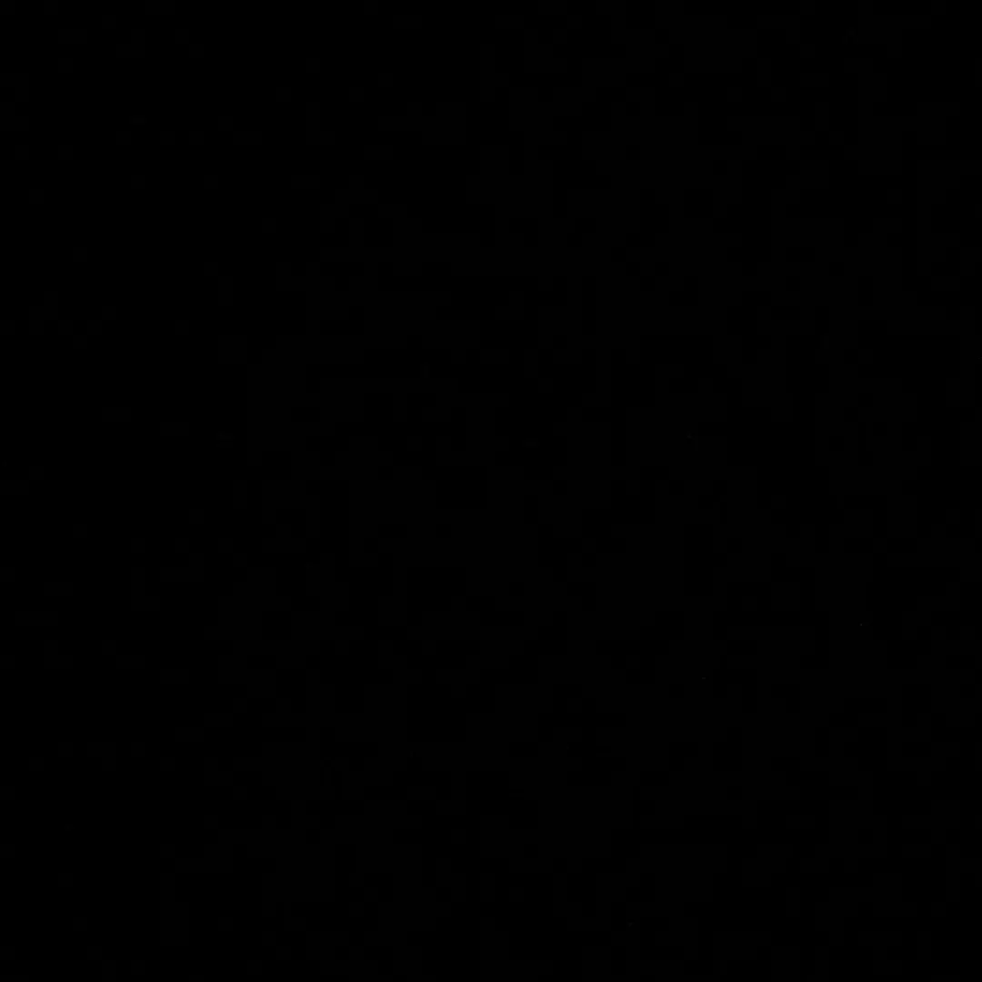 BaldShard8433의 하인