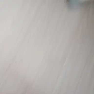 Profile image of 김수연