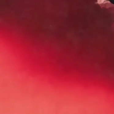 Profile image of 山田涼介