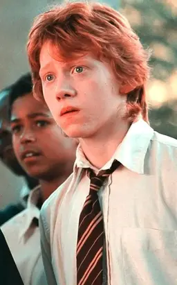 Profile image of Ron