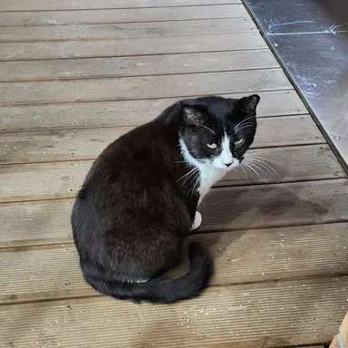 Profile image of 각별