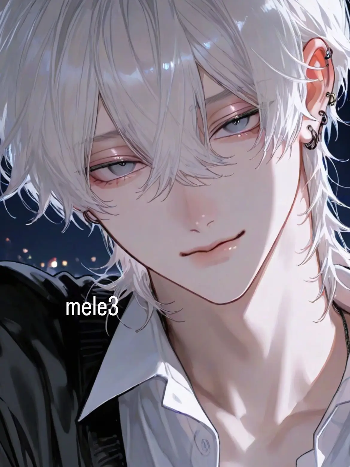 mele3의 透き通る夜の君