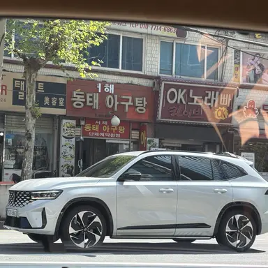 Profile image of 콜레오스