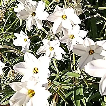 Profile image of 柔太郎