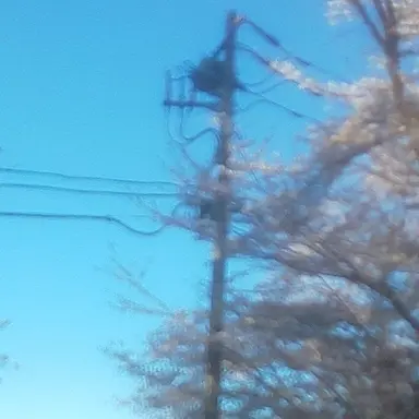 Profile image of 太智