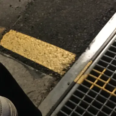 Profile image of 피니언