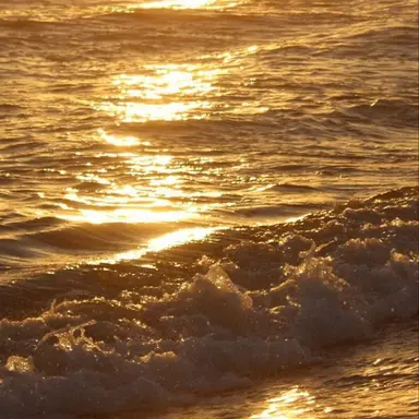 Profile image of 박영환