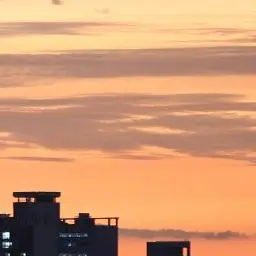 Profile image of 서라더