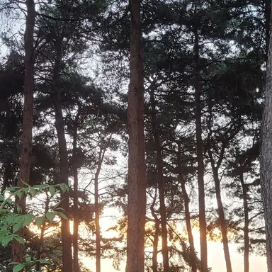 Profile image of 정공룡