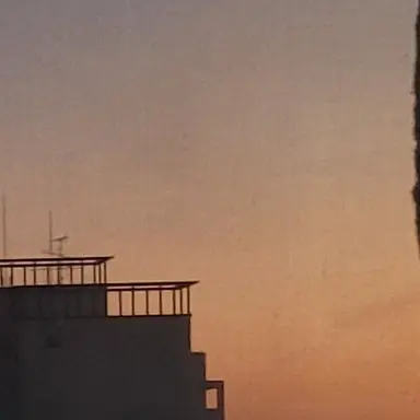 Profile image of 박덕개