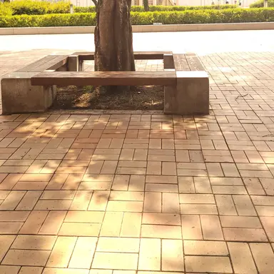 Profile image of 김각별