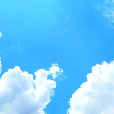 Profile image of 박잠뜰