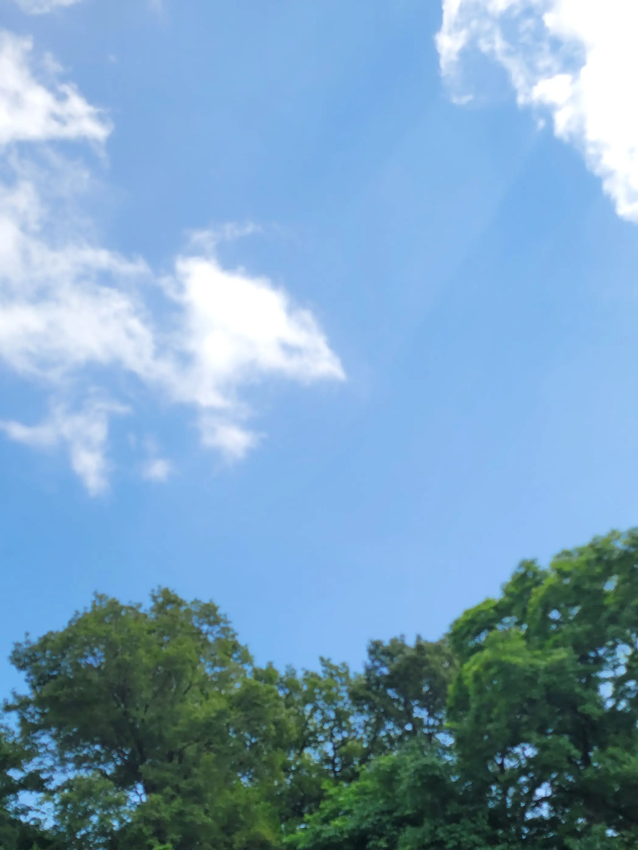 HarshStem0314의 공경사와 사내연애