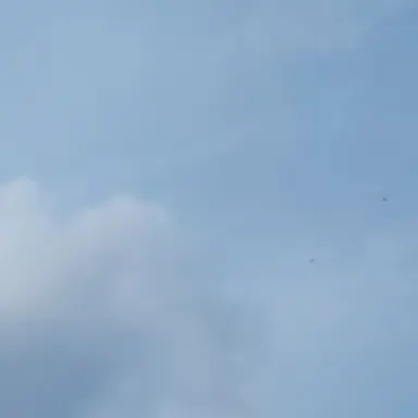 Profile image of 남치범