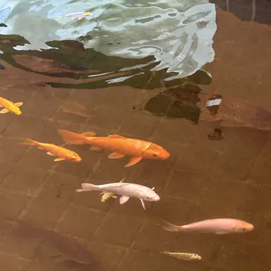 Profile image of 천태길