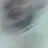 고고캐치고 바니몽