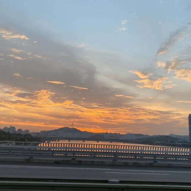 YJS103971의 이나경