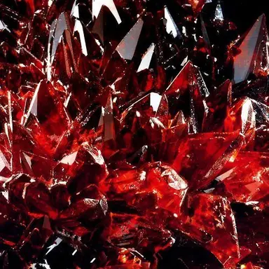 Profile image of 라더