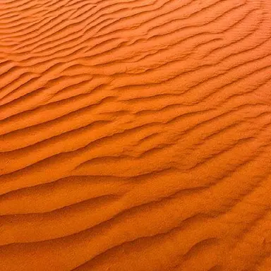 Profile image of 덕개