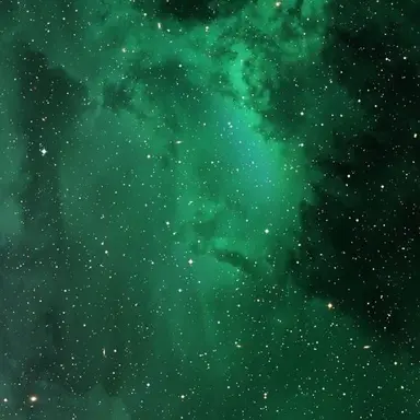 Profile image of 공룡