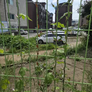 Profile image of 지브